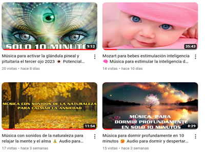 especialista seo para youtube villa nicolás romero