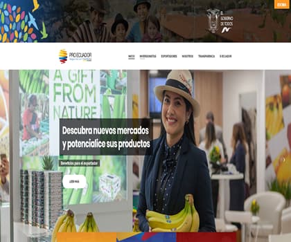 diseño web profesional personalizado Colombia